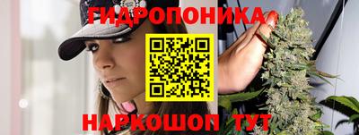 PSILOCYBIN Балахна