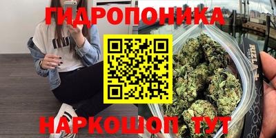 ECSTASY Кунгур