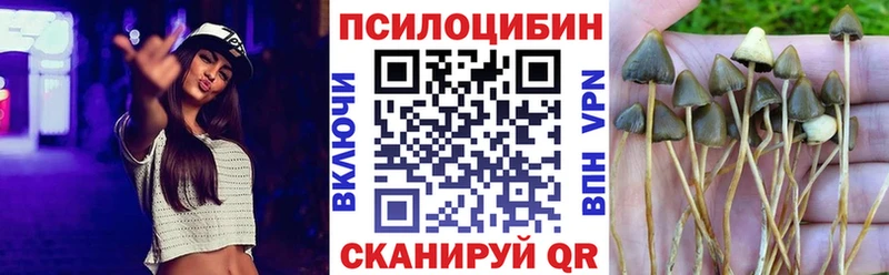 Галлюциногенные грибы мухоморы Малгобек
